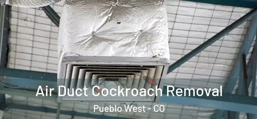  Air Duct Cockroach Removal Pueblo West - CO