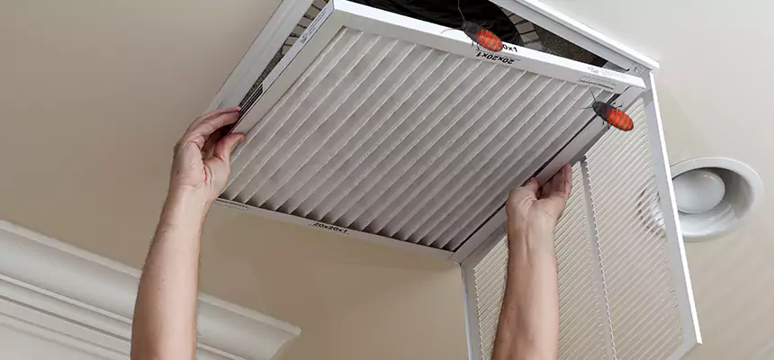 Preventive Cockroach-Proofing for Ducts in Pueblo West