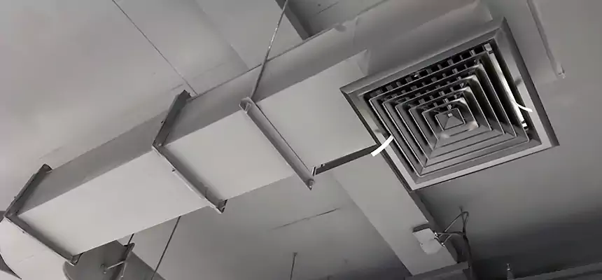 Restorative Allergy Relief Vent Cleaning – Coil, Blower & Housing Detail in Pueblo West