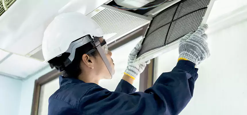 Our Mold & Mildew Removal from Air Ducts Services in Pueblo West, CO