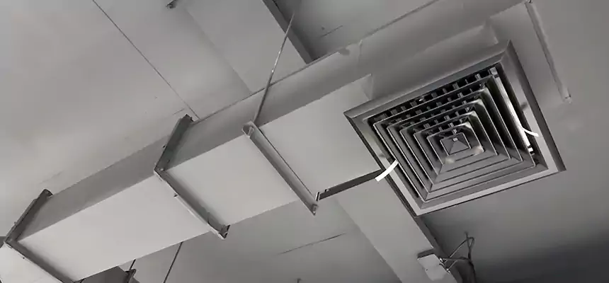 Our Rodent Droppings In Vents Services in Pueblo West, CO