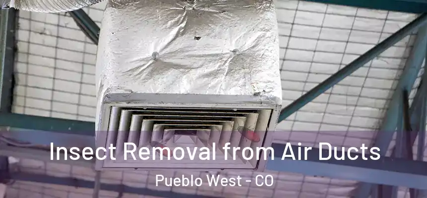  Insect Removal from Air Ducts Pueblo West - CO