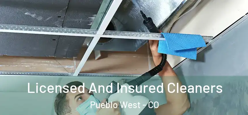 Licensed And Insured Cleaners Pueblo West - CO
