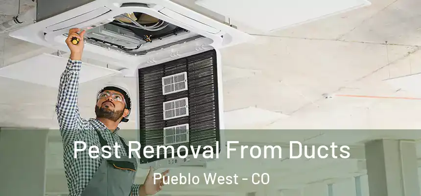  Pest Removal From Ducts Pueblo West - CO