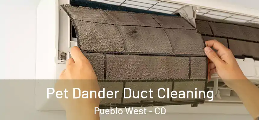 Pet Dander Duct Cleaning Pueblo West - CO