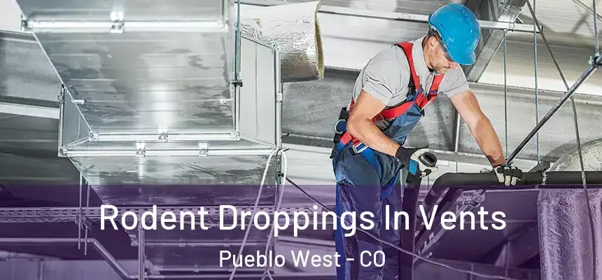  Rodent Droppings In Vents Pueblo West - CO
