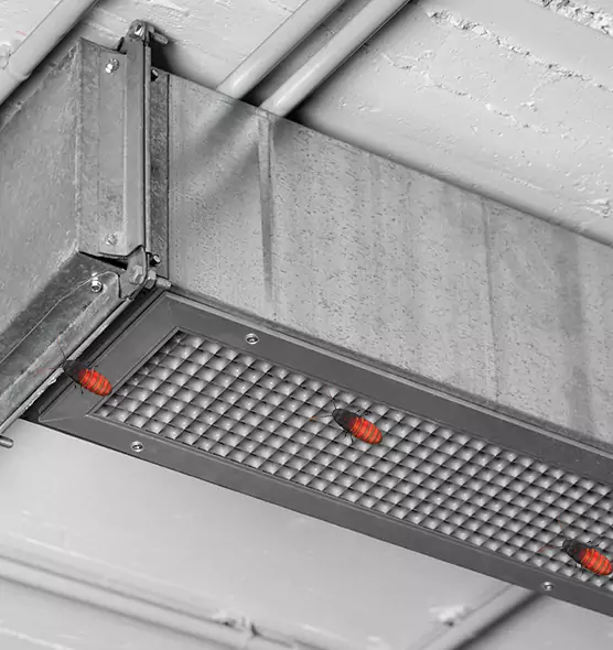 About Air Duct Cockroach Removal in Pueblo West, CO
