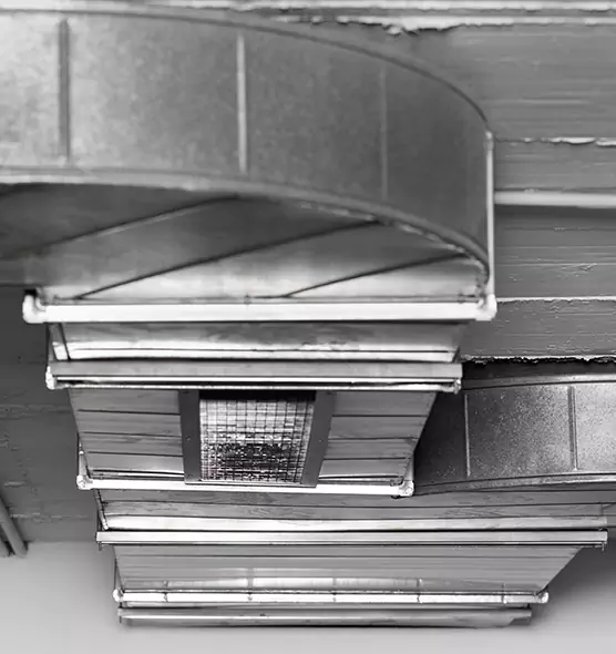 Professional Air Duct Pest Removal in Pueblo West, CO