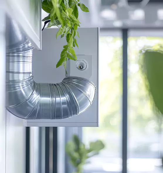 Professional Eco-Safe Dryer Vent Cleaning in Pueblo West, CO