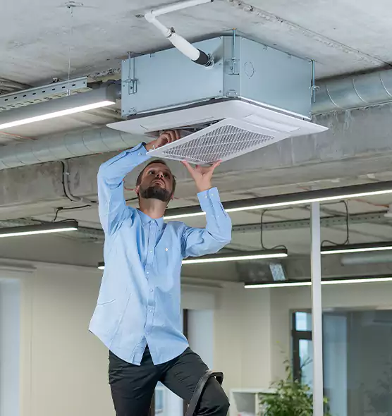 Advanced Rodent Droppings In Vents in Pueblo West, CO